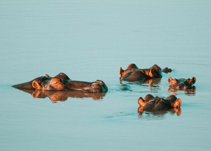 “What’s Your Favorite True Statistic That Makes People Do A Double Take When They Hear It?” (30 Answers)