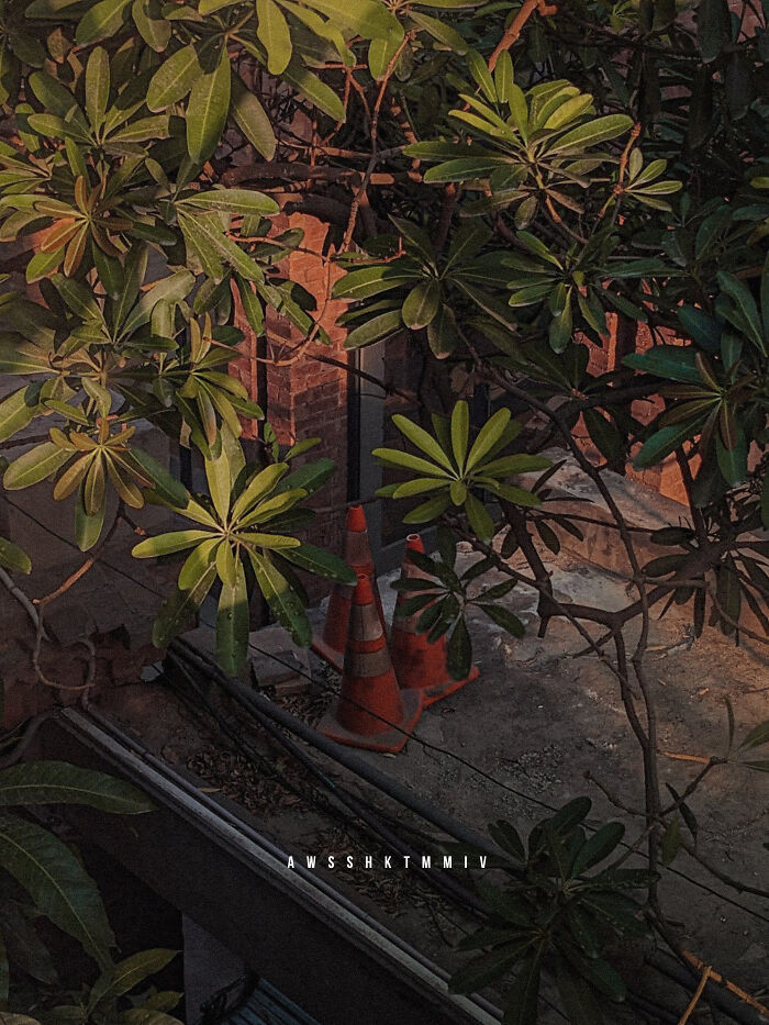 Traffic Cones At The Roof Of Fine Arts Department Building