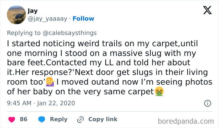 Landlord-Tweets-Renting-Chaos