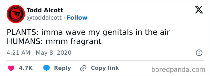 Funny-Nice-Relatable-Memes