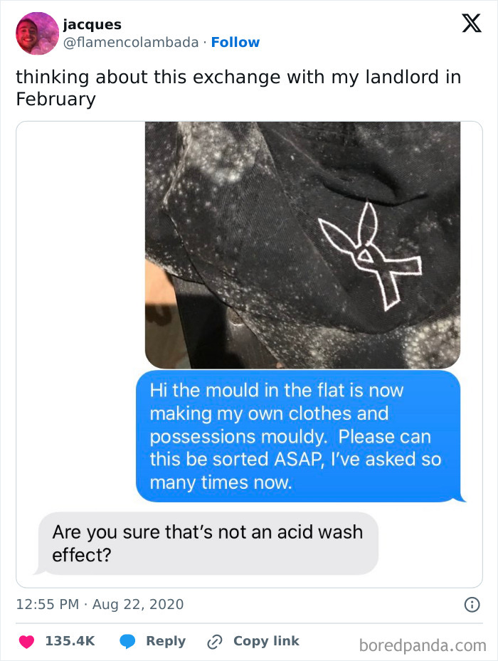 Landlord-Tweets-Renting-Chaos