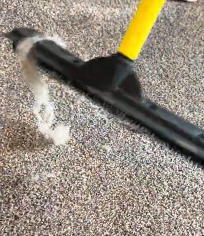 “Trust Me, You Will Regret It”: Cleaner Warns People Against Jumping Onto These Design Trends “Trust Me, You Will Regret It”: Cleaner Warns People Against Jumping Onto These Design Trends