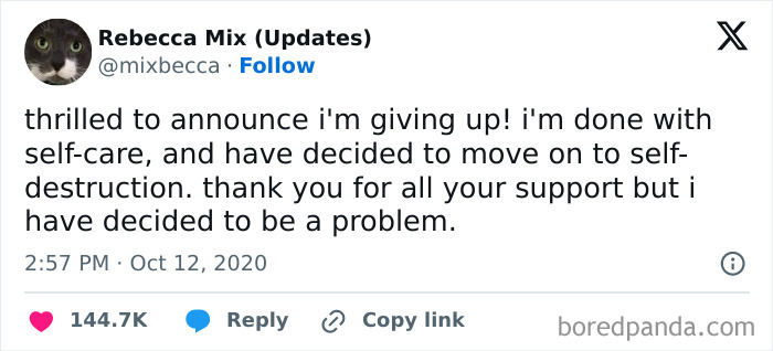 Why-Is-My-Brain-Like-This-Memes