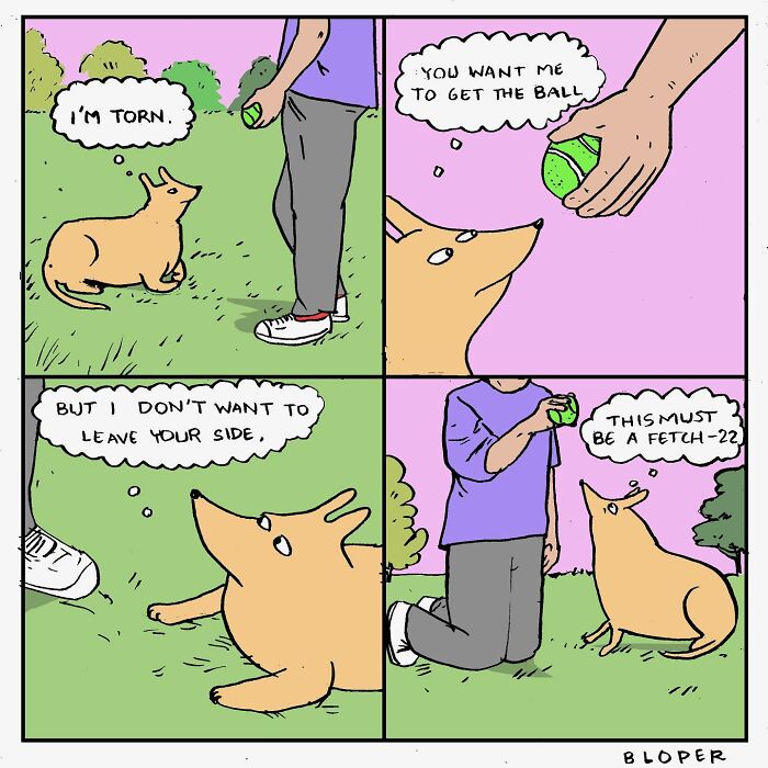 Meet Hammy, The Yellow Dog Who Conquered The Internet With His Unique Personality