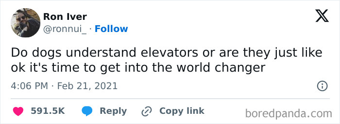 Funny-Relatable-Animal-Memes