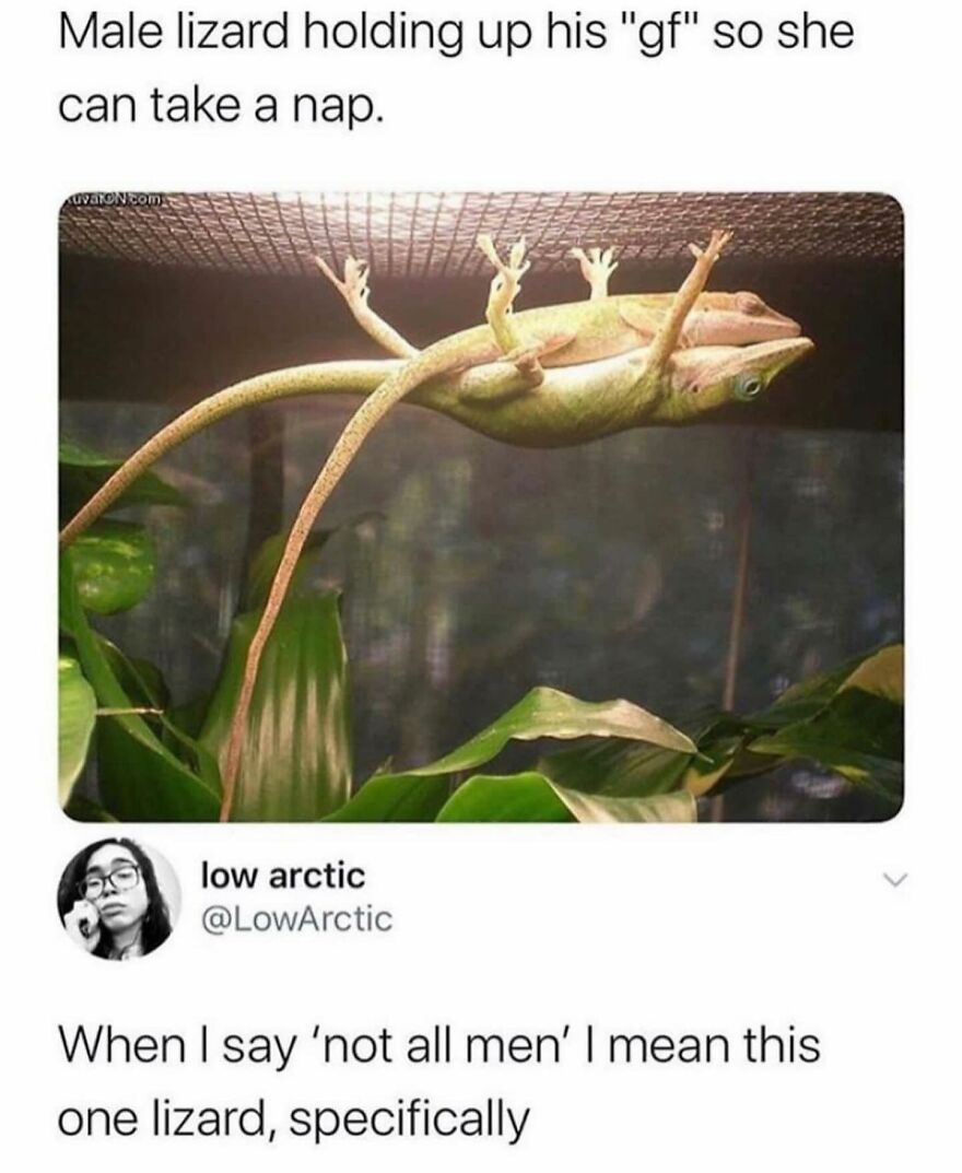 What A Sweet Gentleman 😍