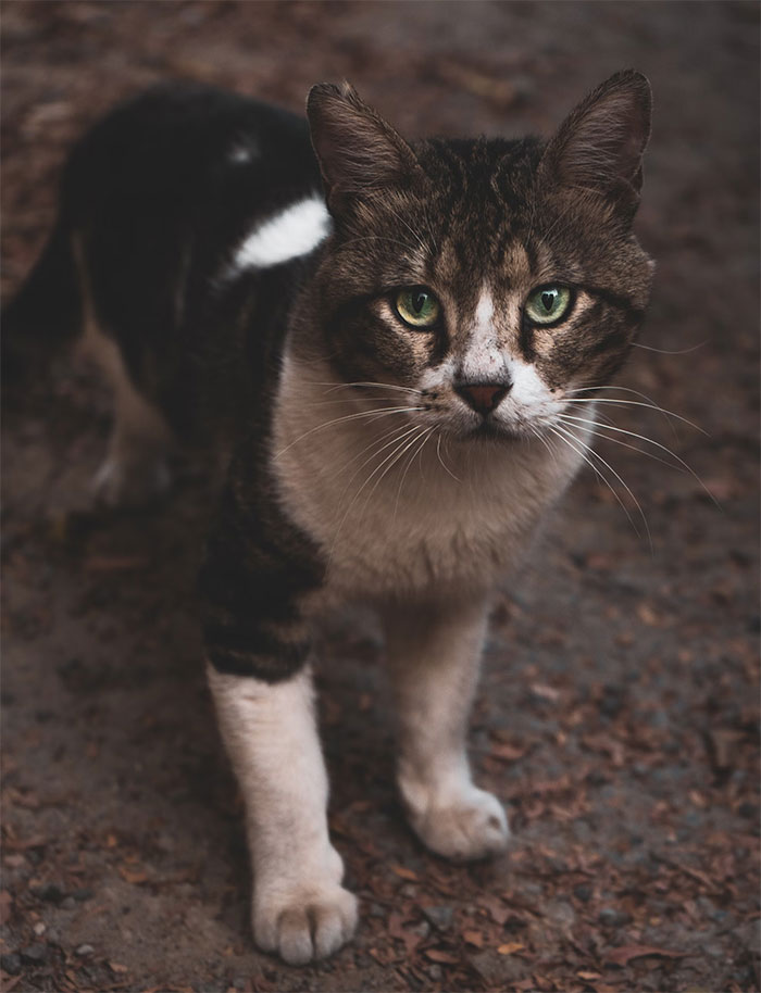 23 Secretos que estas personas nunca contarán a sus padres