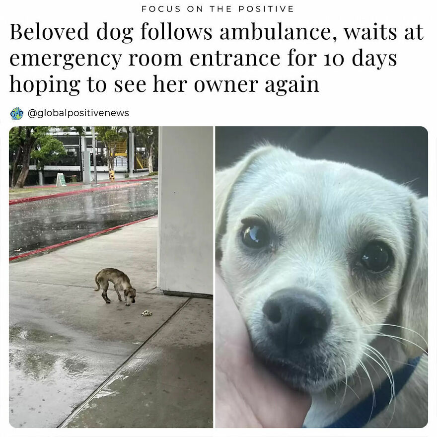 Healthcare Workers At Martin Luther King Hospital In Compton, Ca, Recently Admitted A Patient In Critical Condition