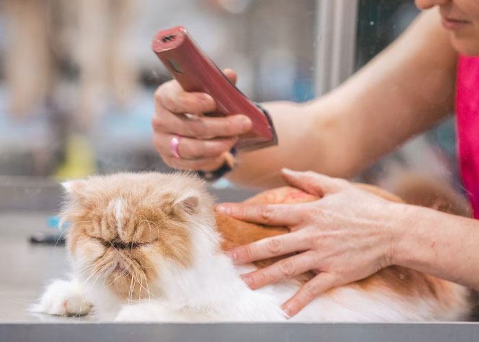 30 People Share Examples Of People Blindly Wasting Money When They Think They're Saving