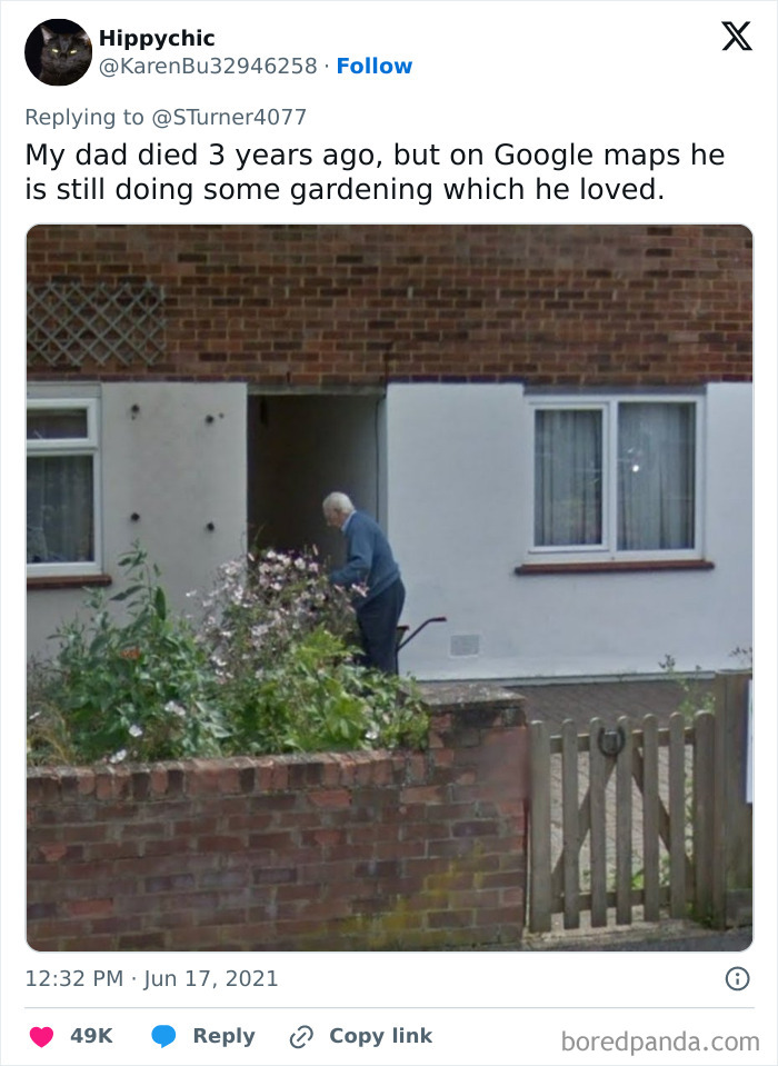 Wholesome-Content-Posts