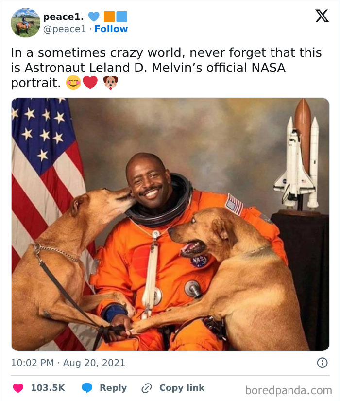 Wholesome-Content-Posts