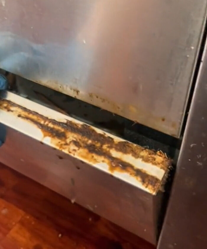 “Trust Me, You Will Regret It”: Cleaner Warns People Against Jumping Onto These Design Trends “Trust Me, You Will Regret It”: Cleaner Warns People Against Jumping Onto These Design Trends