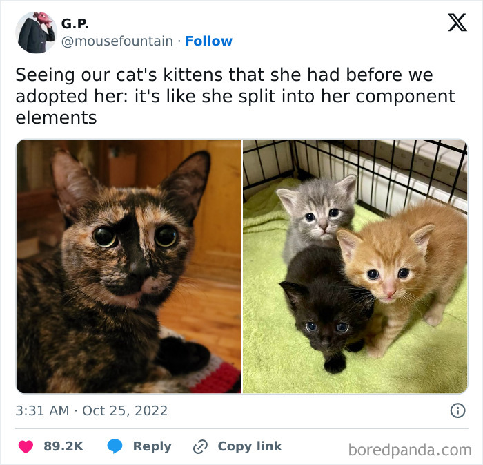 Funny-Random-Memes-Ship-Instagram