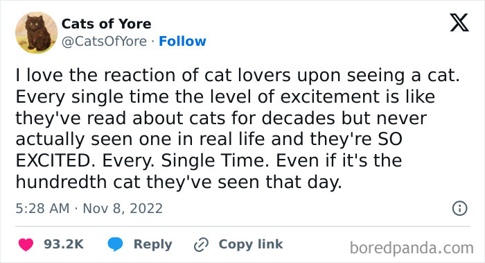 Best-Funny-Cat-Memes-Jokes