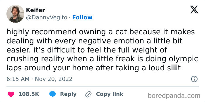 Best-Funny-Cat-Memes-Jokes