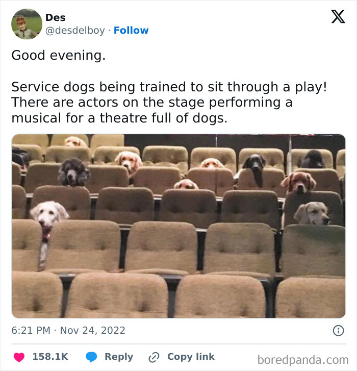 Wholesome-Content-Posts