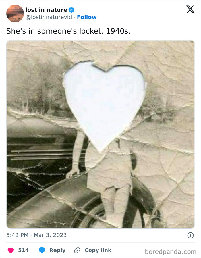 Wholesome-Content-Posts