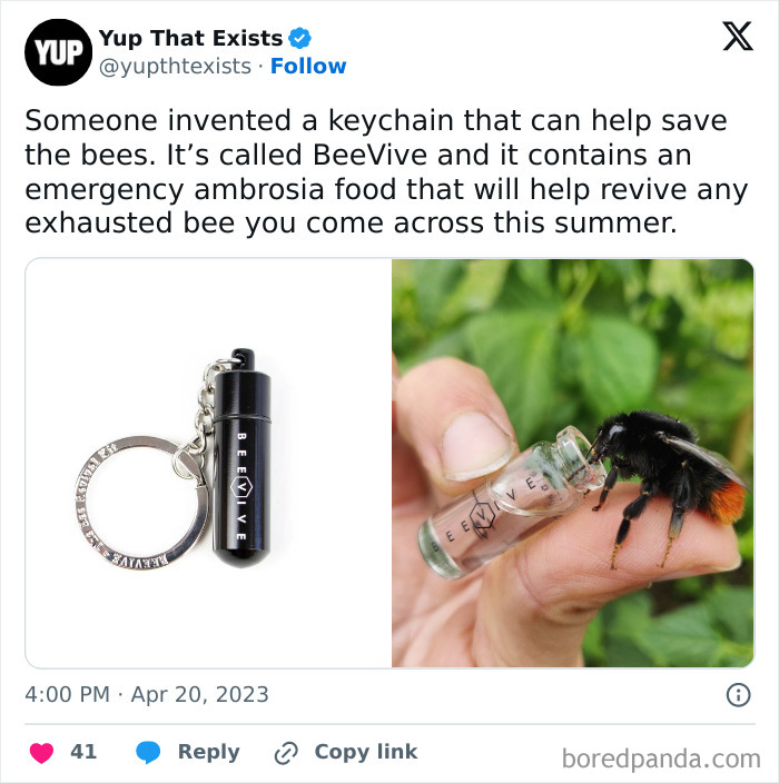 Wholesome-Content-Posts