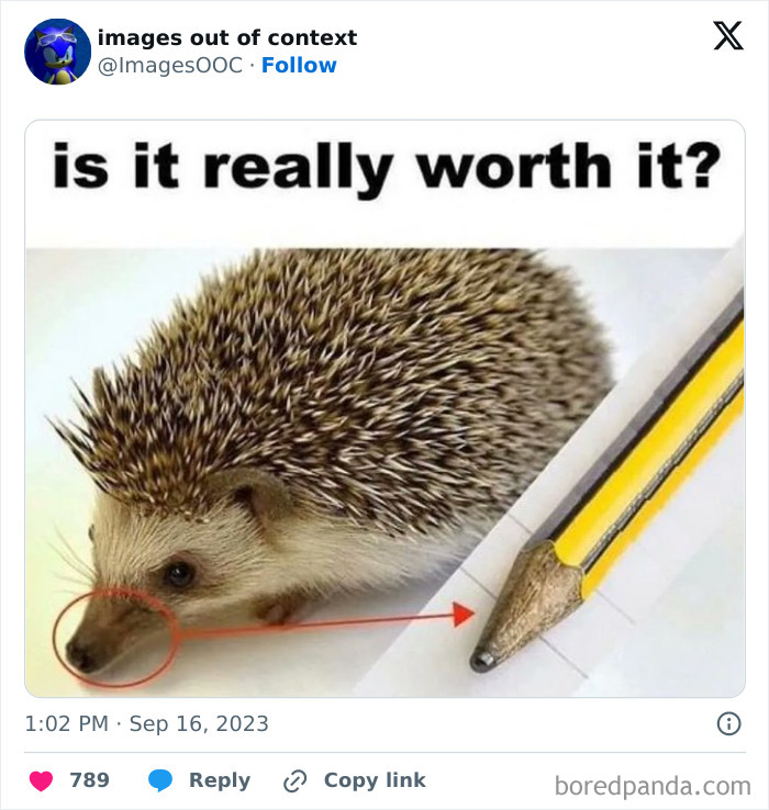 Funny-Weird-Images-Taken-Out-Of-Context