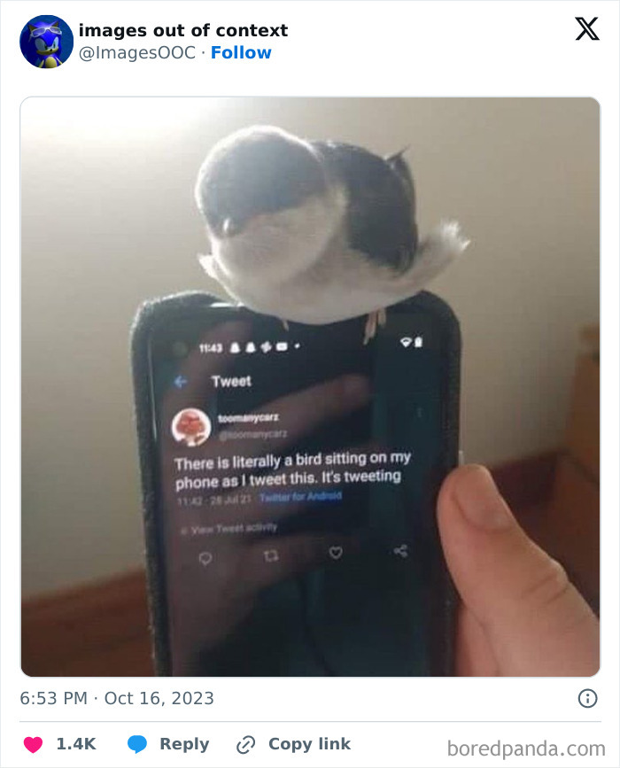 Funny-Weird-Images-Taken-Out-Of-Context