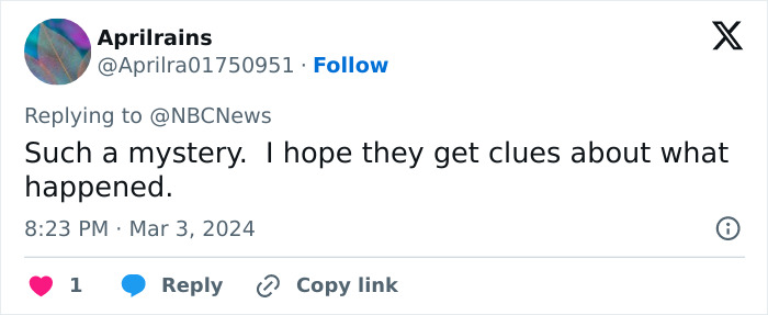 &ldquo;We&rsquo;ll Stand By You&rdquo;: Texas Company Claims Breakthrough Evidence For Malaysia Flight MH370