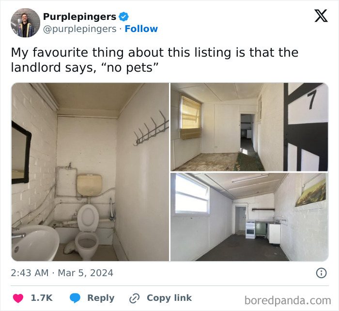 Landlord-Tweets-Renting-Chaos