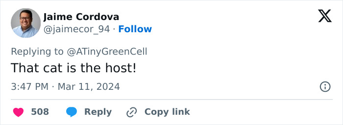 People Online Are In Love With This Adorable Cat Who Takes Its Owner&rsquo;s Guests For Guided Hikes