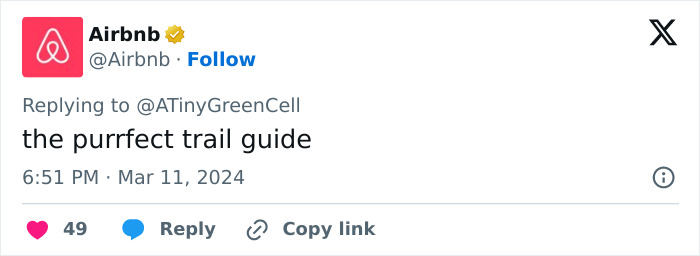 People Online Are In Love With This Adorable Cat Who Takes Its Owner&rsquo;s Guests For Guided Hikes