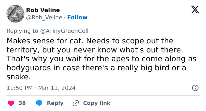 People Online Are In Love With This Adorable Cat Who Takes Its Owner&rsquo;s Guests For Guided Hikes