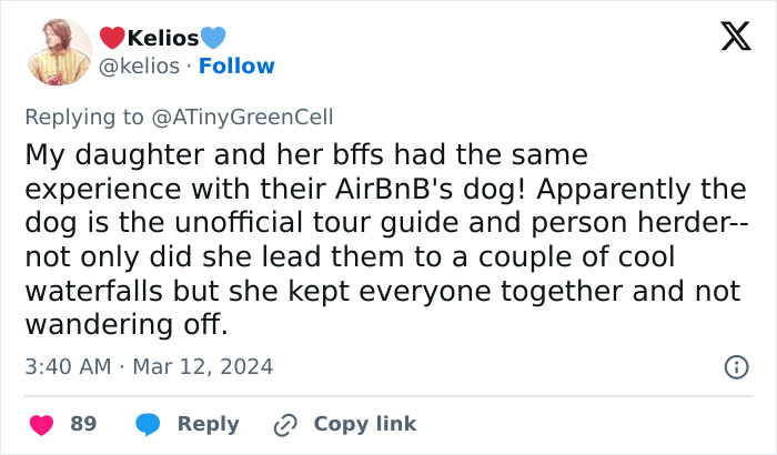 People Online Are In Love With This Adorable Cat Who Takes Its Owner&rsquo;s Guests For Guided Hikes