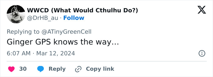 People Online Are In Love With This Adorable Cat Who Takes Its Owner&rsquo;s Guests For Guided Hikes