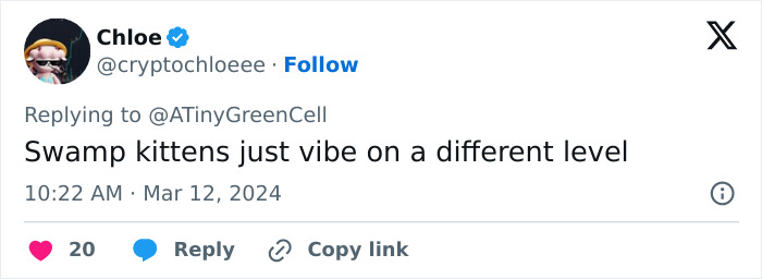 People Online Are In Love With This Adorable Cat Who Takes Its Owner&rsquo;s Guests For Guided Hikes