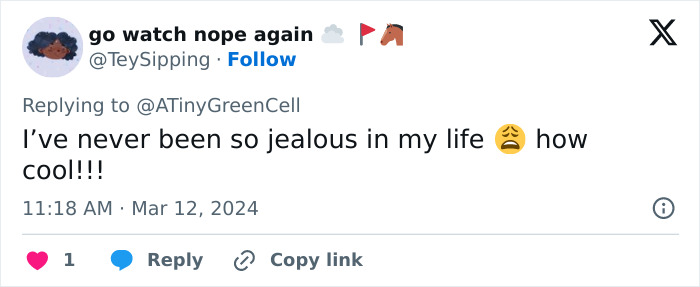 People Online Are In Love With This Adorable Cat Who Takes Its Owner&rsquo;s Guests For Guided Hikes