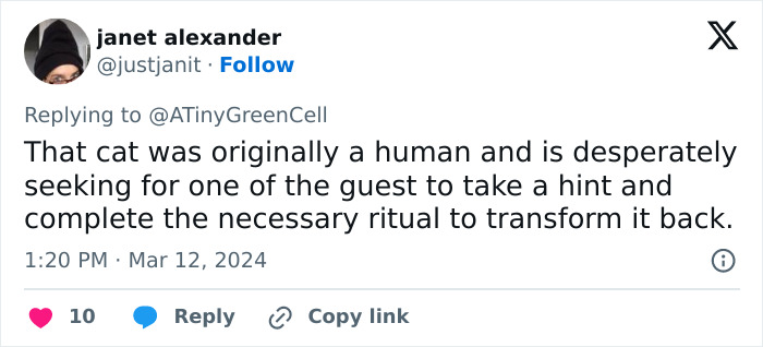 People Online Are In Love With This Adorable Cat Who Takes Its Owner&rsquo;s Guests For Guided Hikes