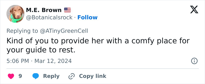 People Online Are In Love With This Adorable Cat Who Takes Its Owner&rsquo;s Guests For Guided Hikes