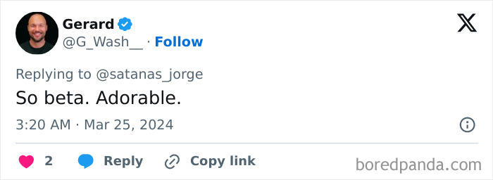 Men Who Joined &ldquo;Alpha Male&rdquo; Project Mocked Online