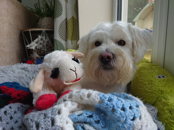 Mom Loses It At Sibling Because Of &lsquo;Non-Traditional&rsquo; Toy They Got For Niece