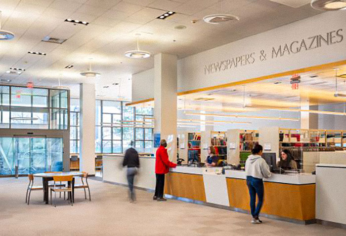 Library Lets People Trade Cat Pics For The Clearing Of Unpaid Dues During March Meowness Library Lets People Trade Cat Pics For The Clearing Of Unpaid Dues During March Meowness