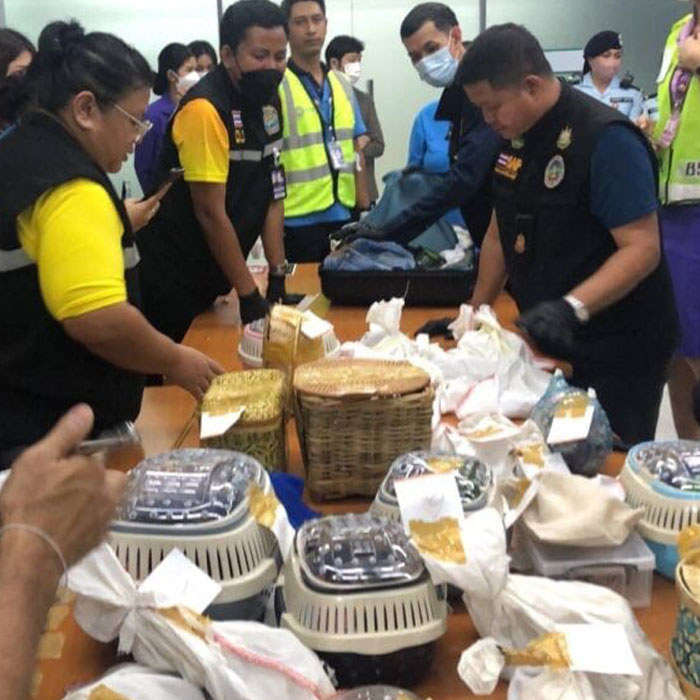 Six People Caught Trying To Smuggle 87 Animals In Major Wildlife Trafficking Bust