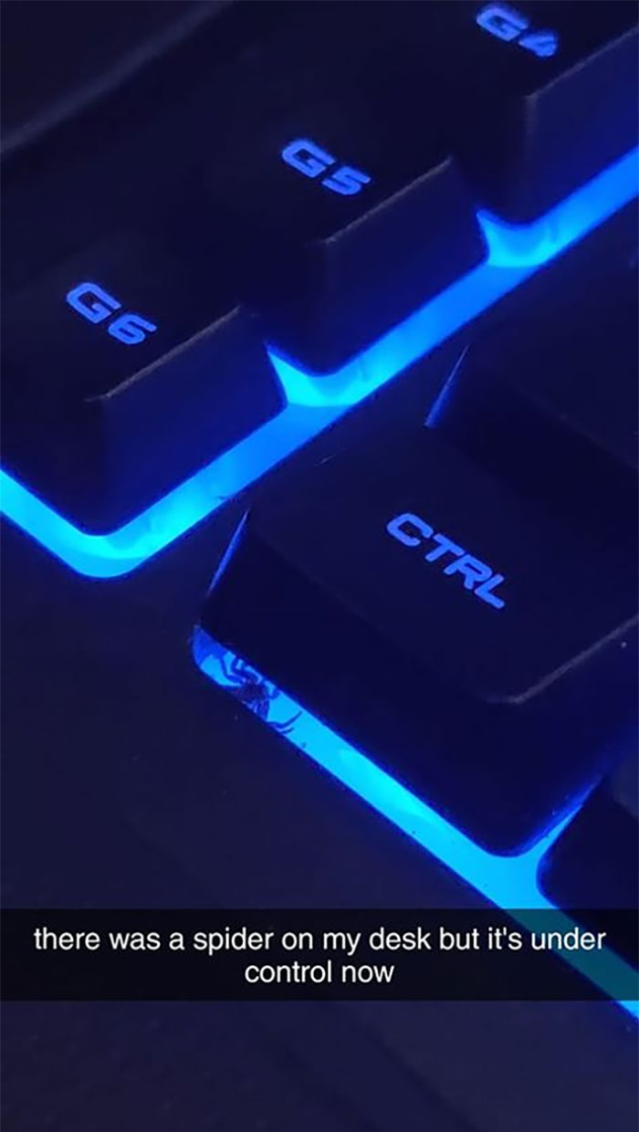 I Was In The Middle Of A Zoom When I Noticed This Bastard