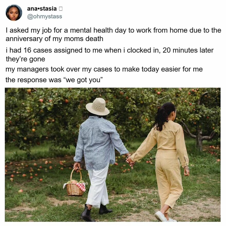 Seems Like A Great Company