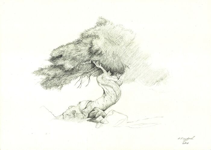 (Last One, I Swear) Vanishing Tree. I Just Liked How It Looked Half Finished