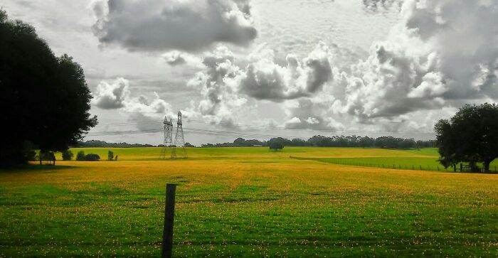 2016 In Route To The Villages, Florida - Field Of Dreams