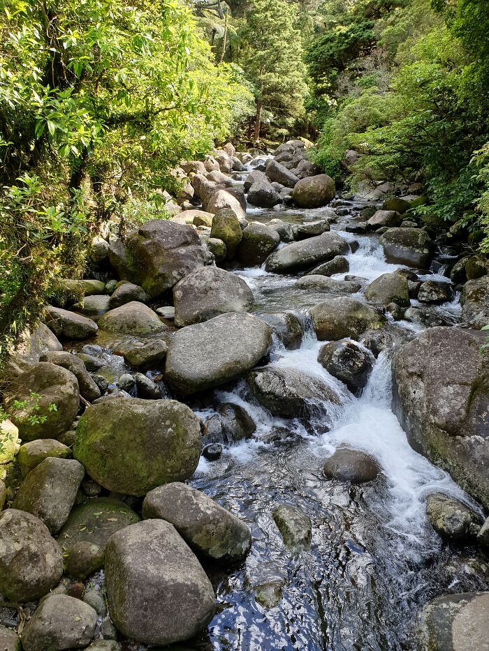 On The Wairere Falls Track