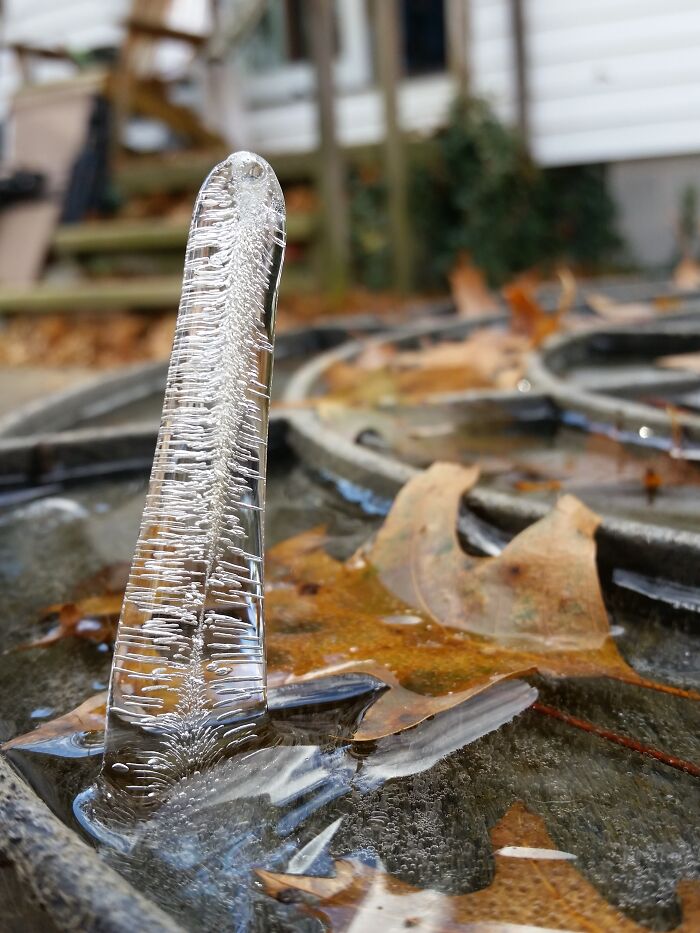 It Is Not Upside Down