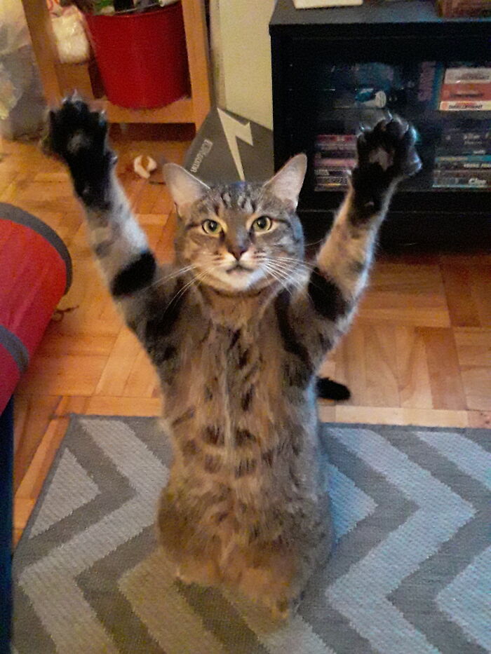 The Fish Was This Big