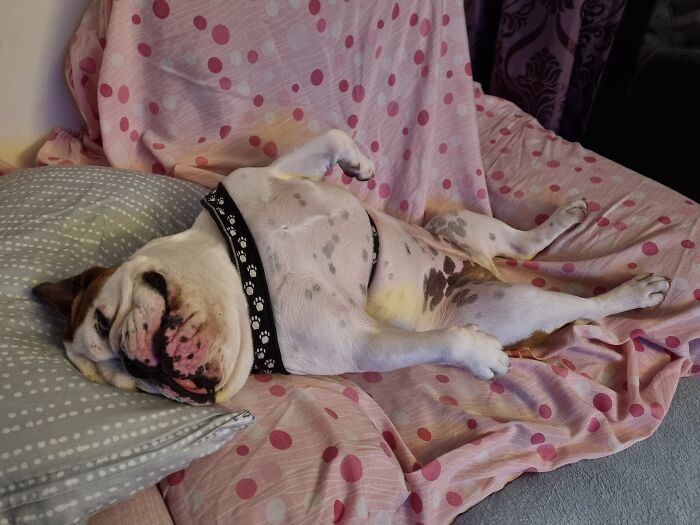 So Many Good Ones...just One Of Them: Sushi Chilling On The Couch