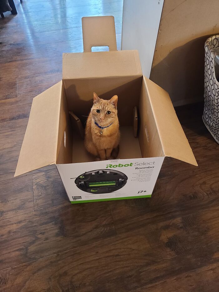 Guess What He Wants To Be When He Grows Up?