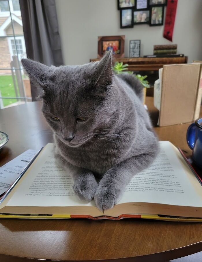 Fubar Jones, You Are The Worst Bookmark...ever