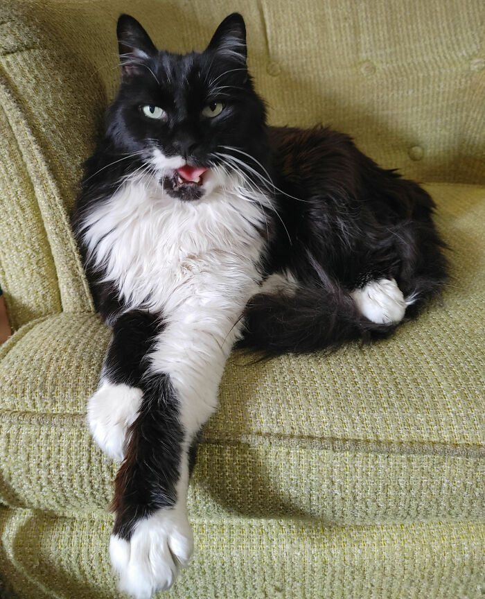 13 Yo "Itty Bitty Mr. Kitty Hammer Pants" Aka Draco